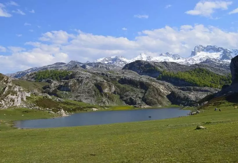 Fotos del hotel Gran Hotel Pelayo:  10