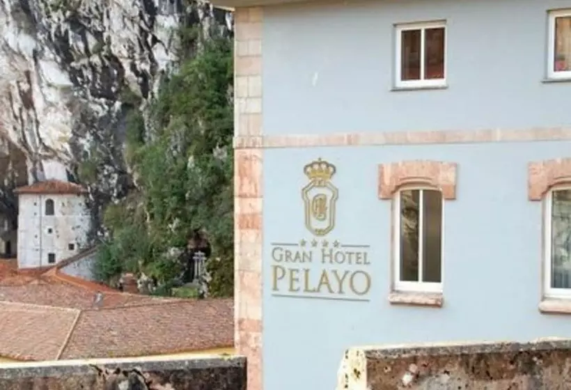 Fotos del hotel Gran Hotel Pelayo:  13
