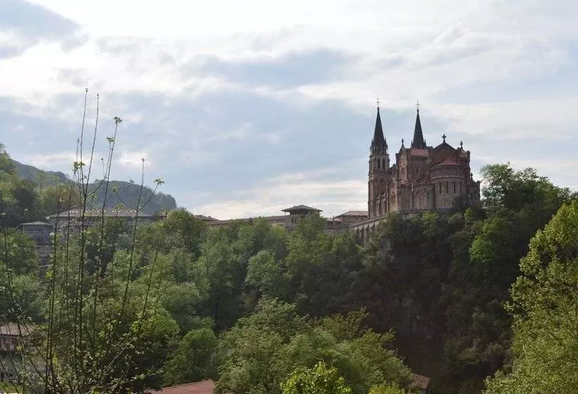 Fotos del hotel Gran Hotel Pelayo:  9