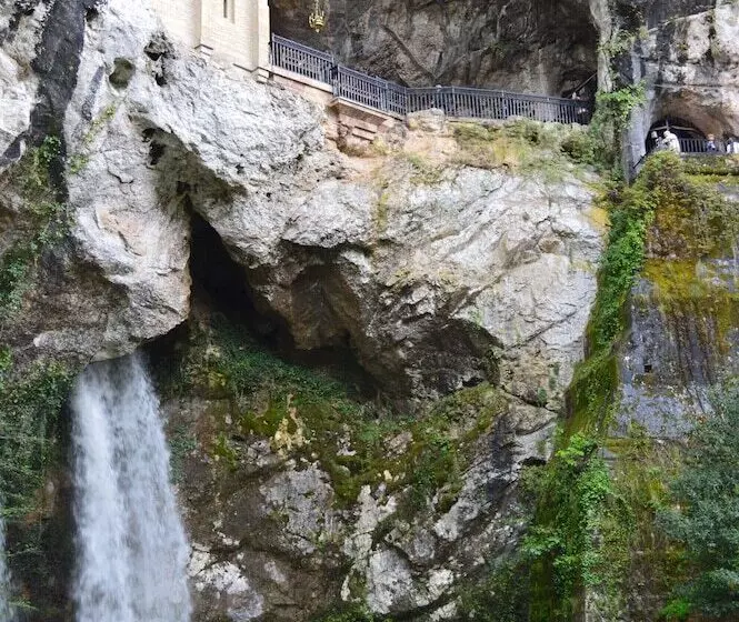 Fotos del hotel Gran Hotel Pelayo:  20