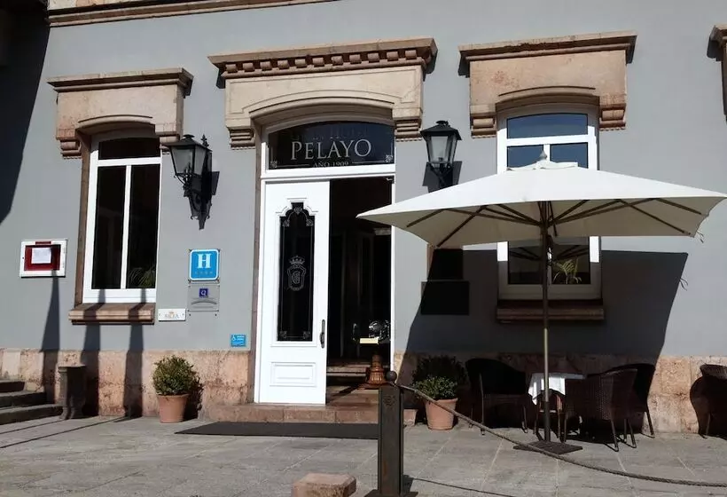 Fotos del hotel Gran Hotel Pelayo:  18