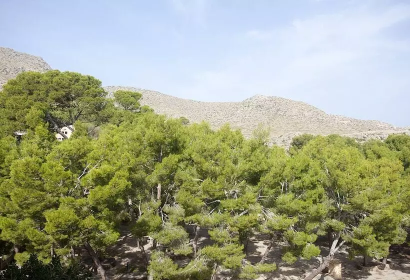 Fotos del hotel Cala Sant Vicenç - Adults Only:  13