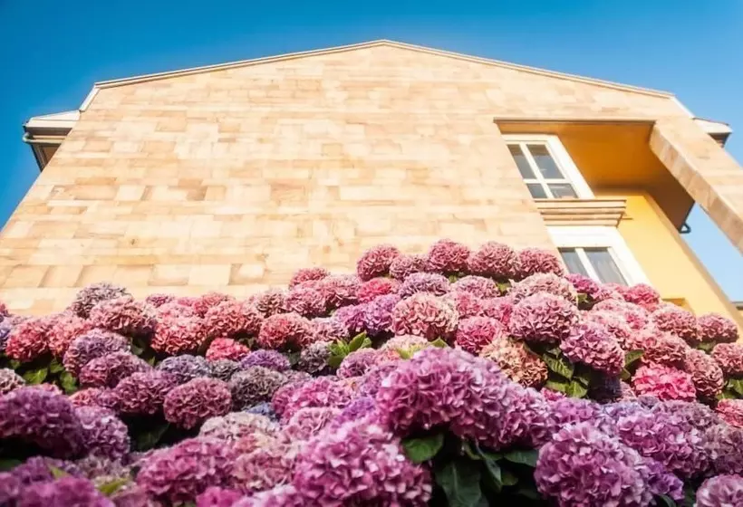 Fotos del hotel Don Pepe:  9