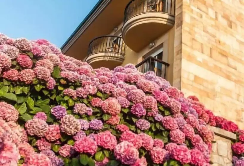 Fotos del hotel Don Pepe:  13