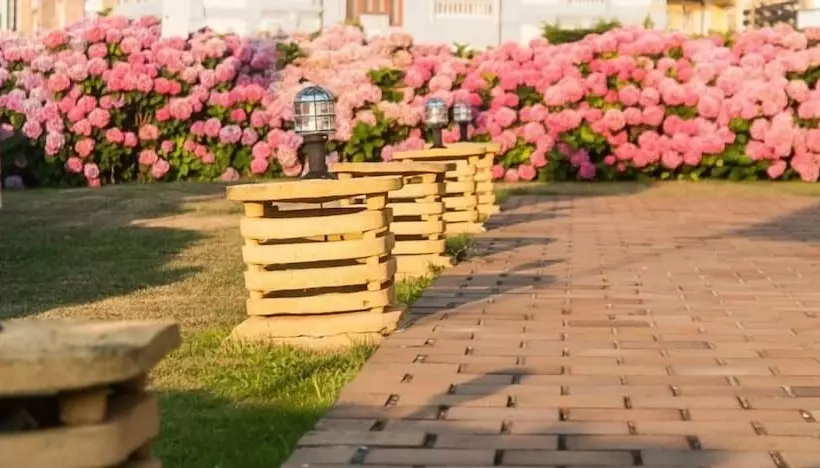 Fotos del hotel Don Pepe:  5