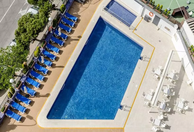 Fotos del hotel Maya Alicante:  7