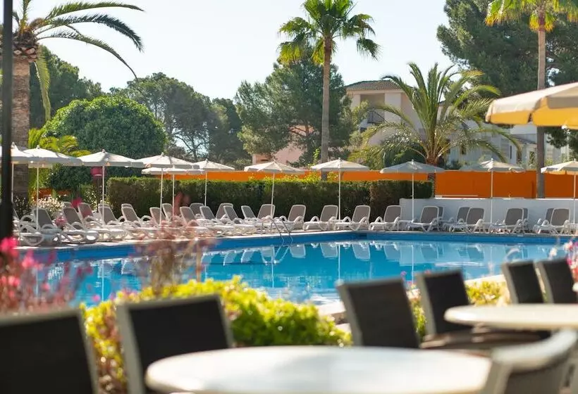 Fotos del hotel Millor Sol:  11