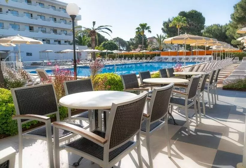 Fotos del hotel Millor Sol:  23