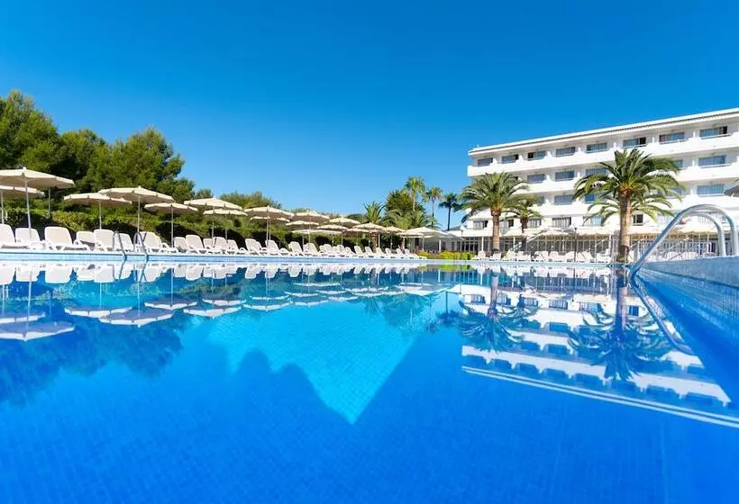 Fotos del hotel Millor Sol:  8