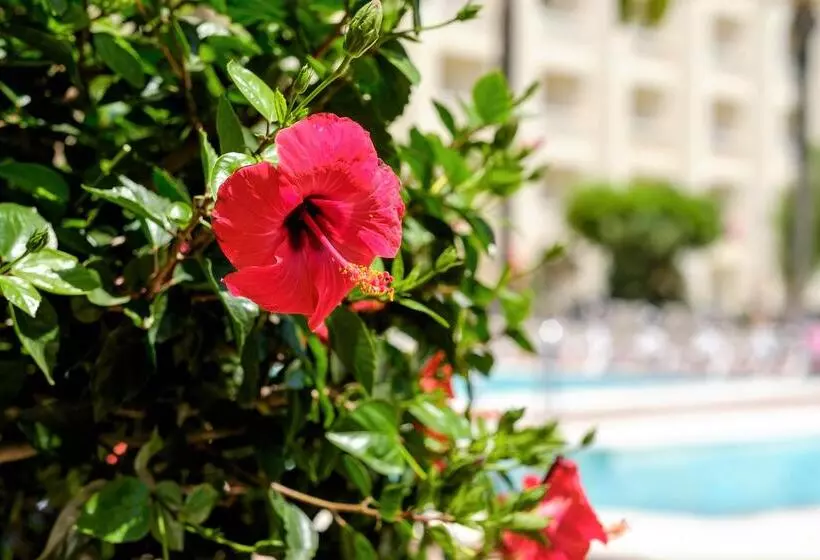 Fotos del hotel Portomagno:  25