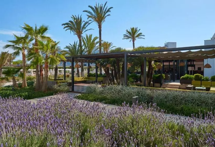 Fotos del hotel Protur Sa Coma Playa  & Spa:  30