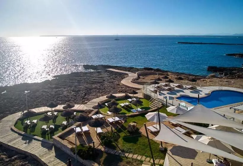 Fotos del hotel Universal Hotel Cabo Blanco  Adults Only:  21