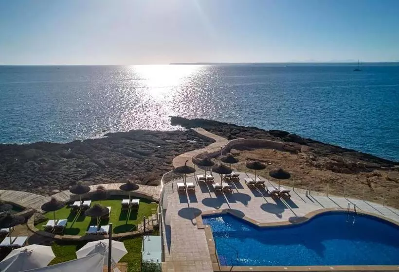 Fotos del hotel Universal Hotel Cabo Blanco  Adults Only:  17