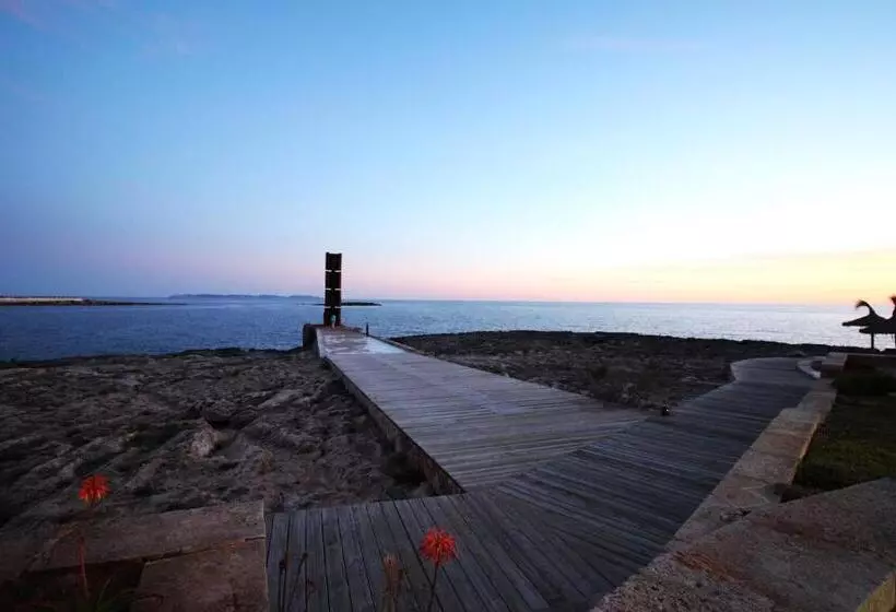 Fotos del hotel Universal Hotel Cabo Blanco  Adults Only:  24