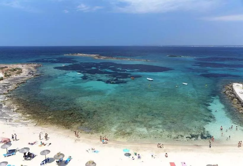 Fotos del hotel Universal Hotel Cabo Blanco  Adults Only:  19