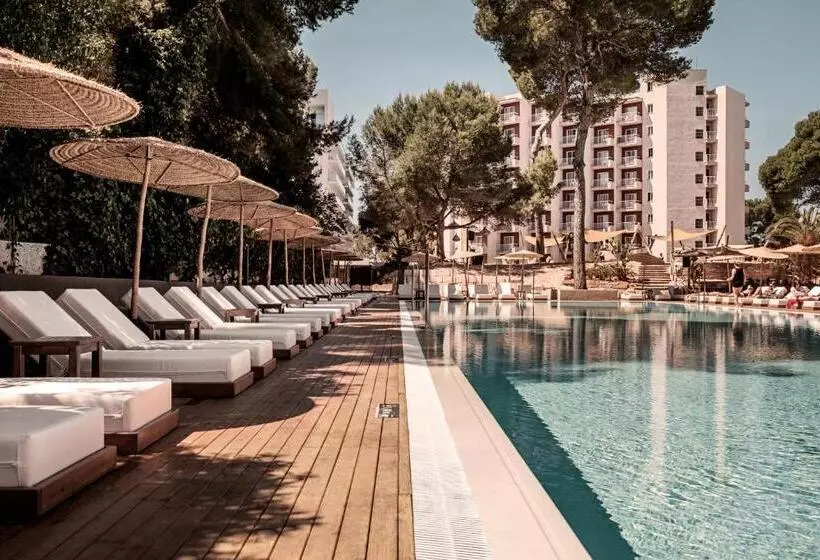 Cook S Club Palma Beach