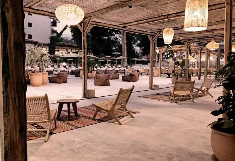 Fotos del hotel Cook S Club Palma Beach:  7