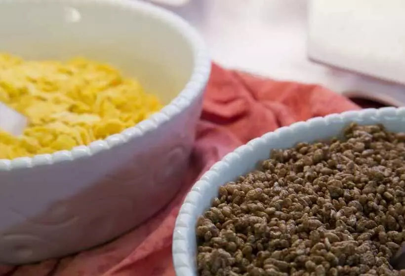 Fotos del hotel Ght Balmes, Hotel-aparthotel&splash:  11