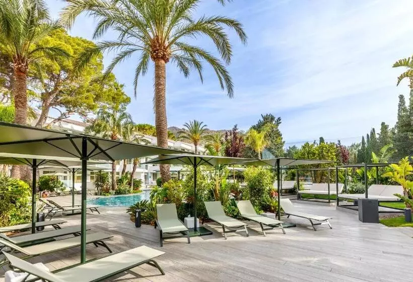 Fotos del hotel Illa D'or & Club Apts 4* Sup:  9