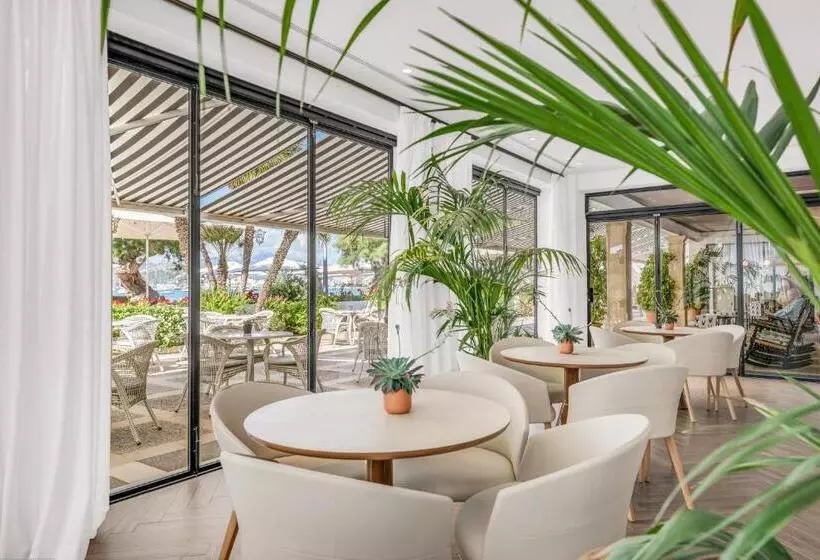 Fotos del hotel Illa D'or & Club Apts 4* Sup:  21