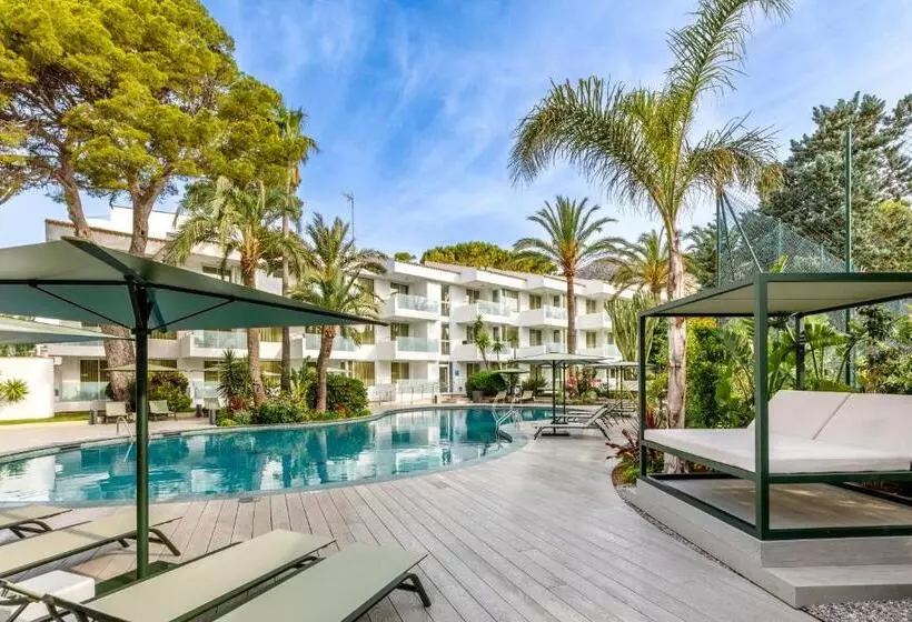 Fotos del hotel Illa D'or & Club Apts 4* Sup:  25