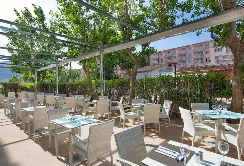 Fotos del hotel Js Sol De Alcudia:  8