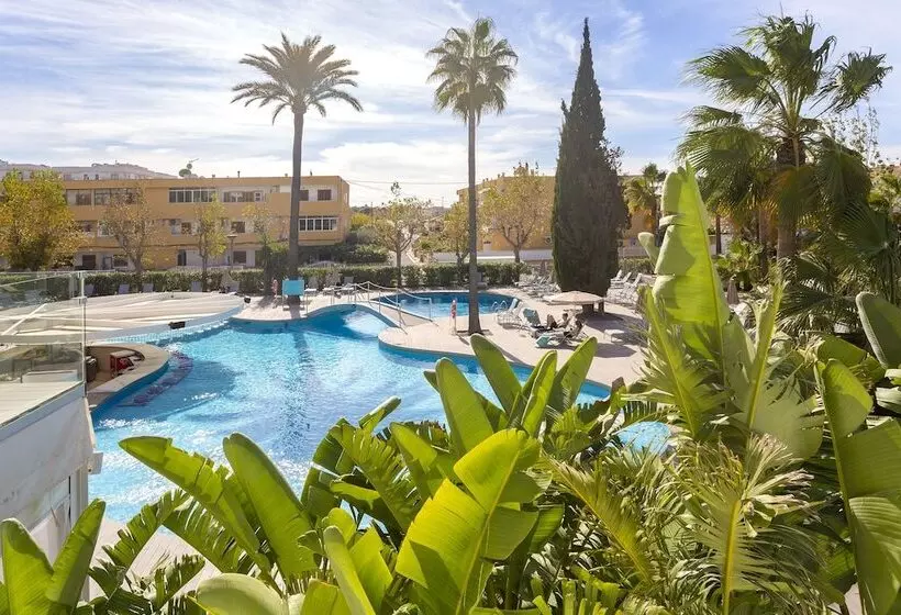 Fotos del hotel Js Sol De Alcudia:  37