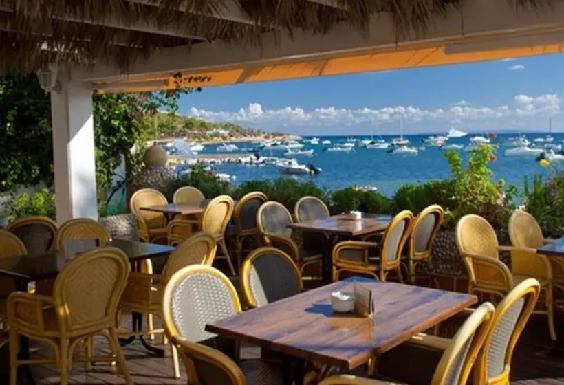 Fotos del hotel Ses Figueres:  17