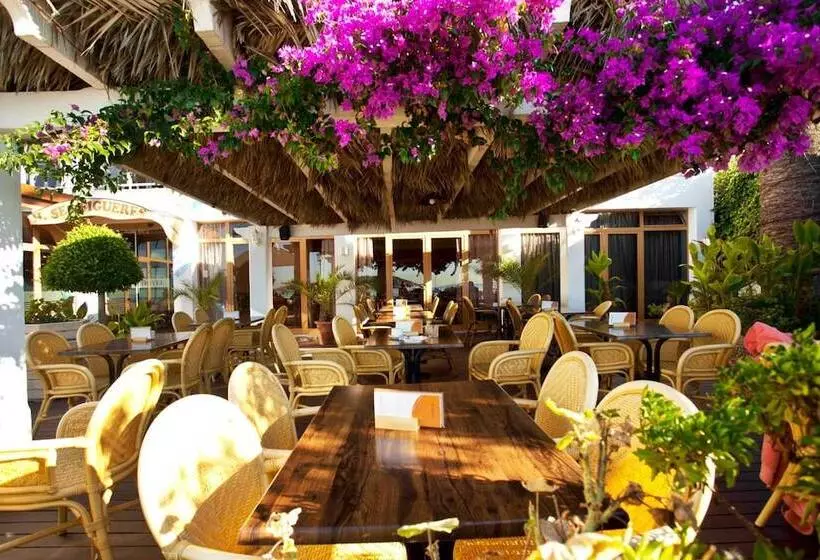 Fotos del hotel Ses Figueres:  25