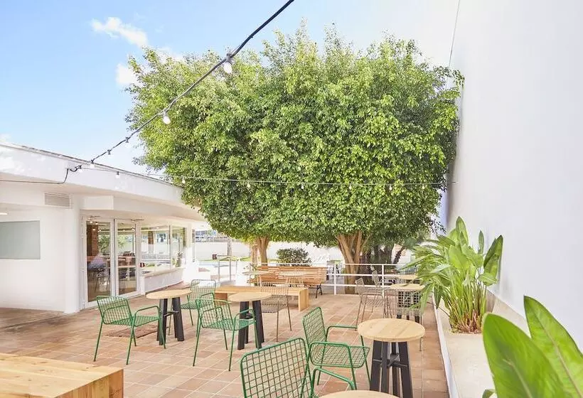 Fotos del hotel Tent Playa De Palma:  10