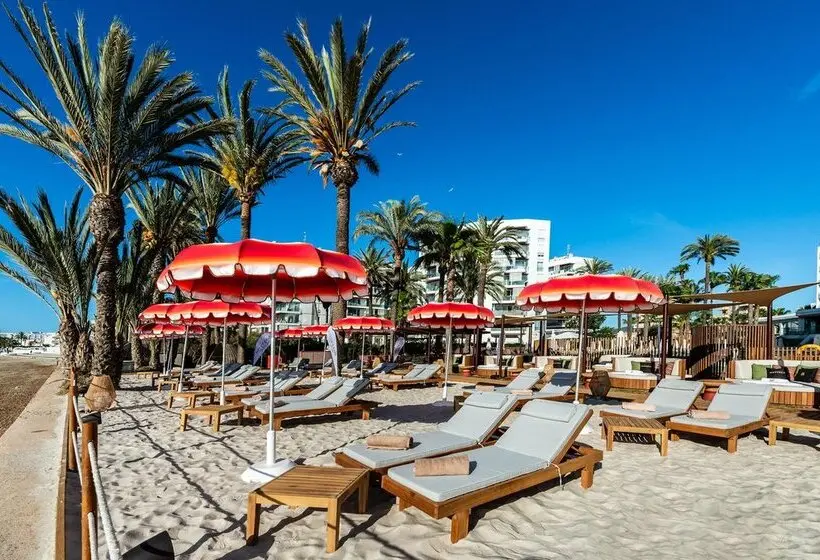 Fotos del hotel Vibra Algarb:  20