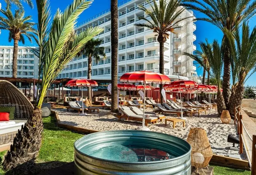 Fotos del hotel Vibra Algarb:  22