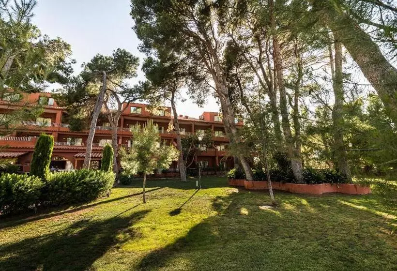 Fotos del hotel Intur Bonaire:  21