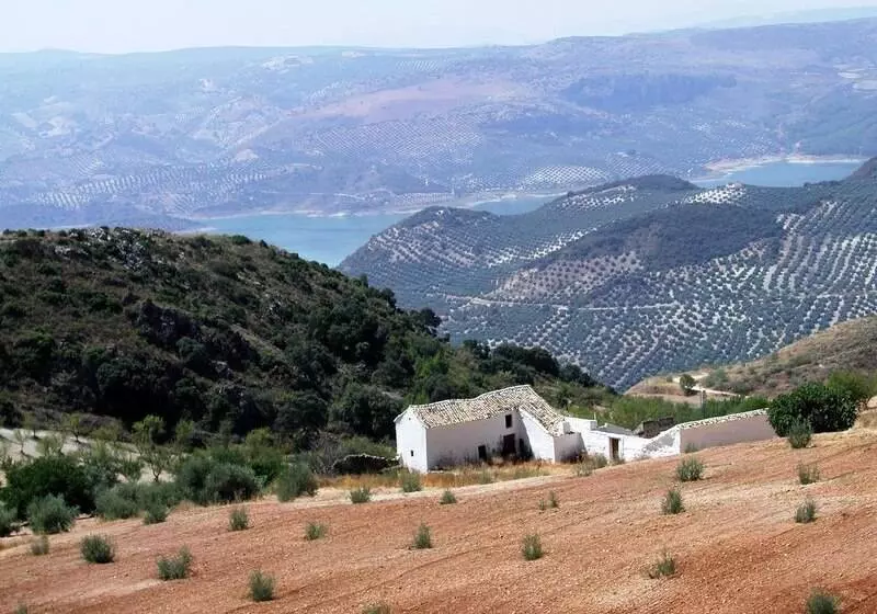 Fotos del hotel Maria Luisa:  8