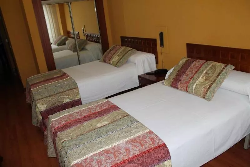 Fotos del hotel Marqués De Santillana:  21