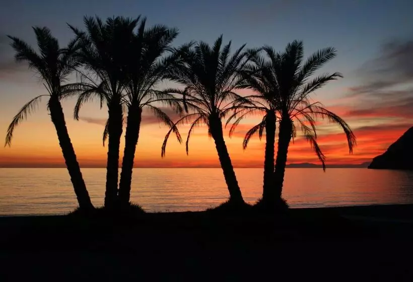 Fotos del hotel Sol Los Fenicios:  22