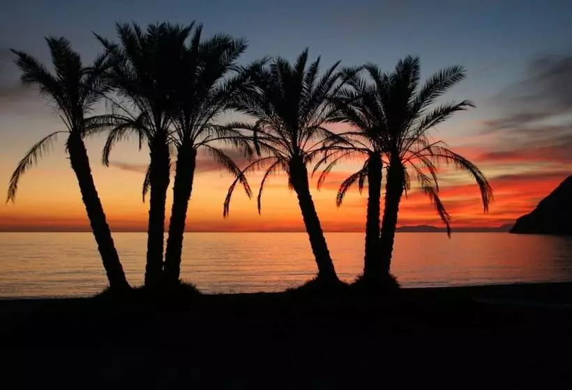 Fotos del hotel Sol Los Fenicios:  65