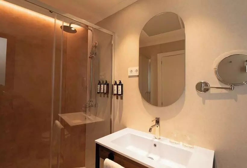 Fotos del hotel Petit Palace Preciados:  8