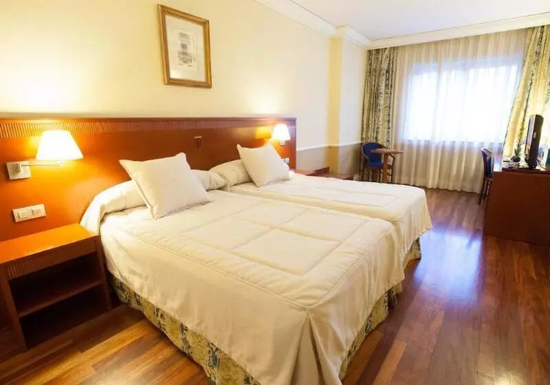 Fotos del hotel Alfonso Viii:  19