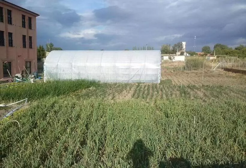 Fotos del hotel Casa Aurelia:  14