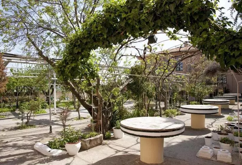 Fotos del hotel Casa Aurelia:  5