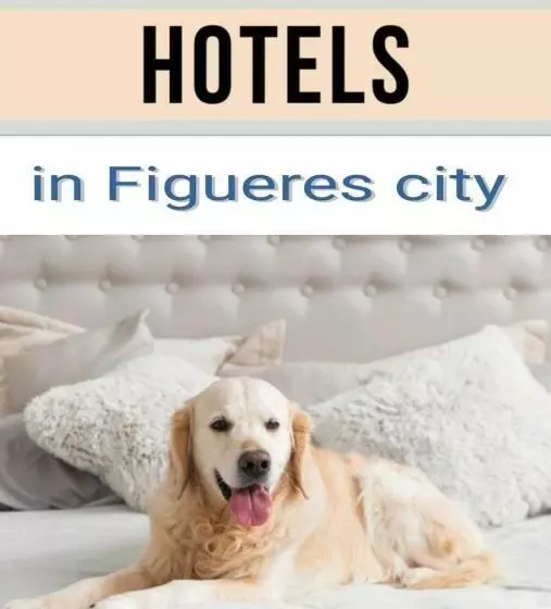 Fotos del hotel Restaurant Travé:  16