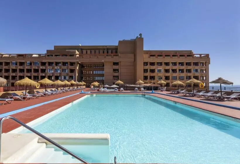 Fotos del hotel Las Palmeras Affiliated by Fergus:  71