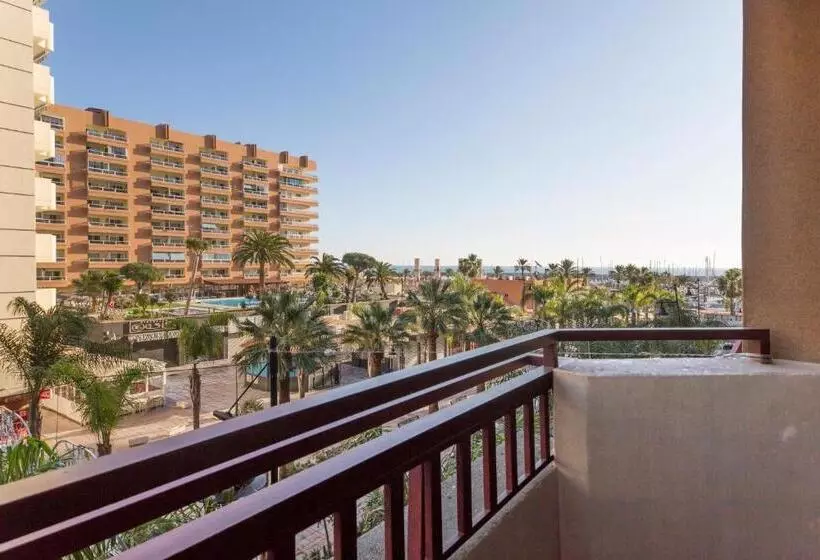 Fotos del hotel Las Palmeras Affiliated by Fergus:  20