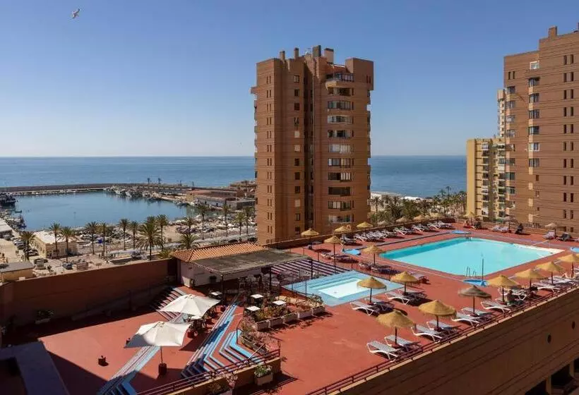 Fotos del hotel Las Palmeras Affiliated by Fergus:  49