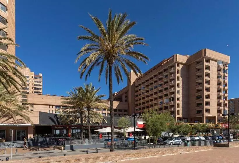 Fotos del hotel Las Palmeras Affiliated by Fergus:  3