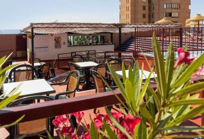 Fotos del hotel Las Palmeras Affiliated by Fergus:  18