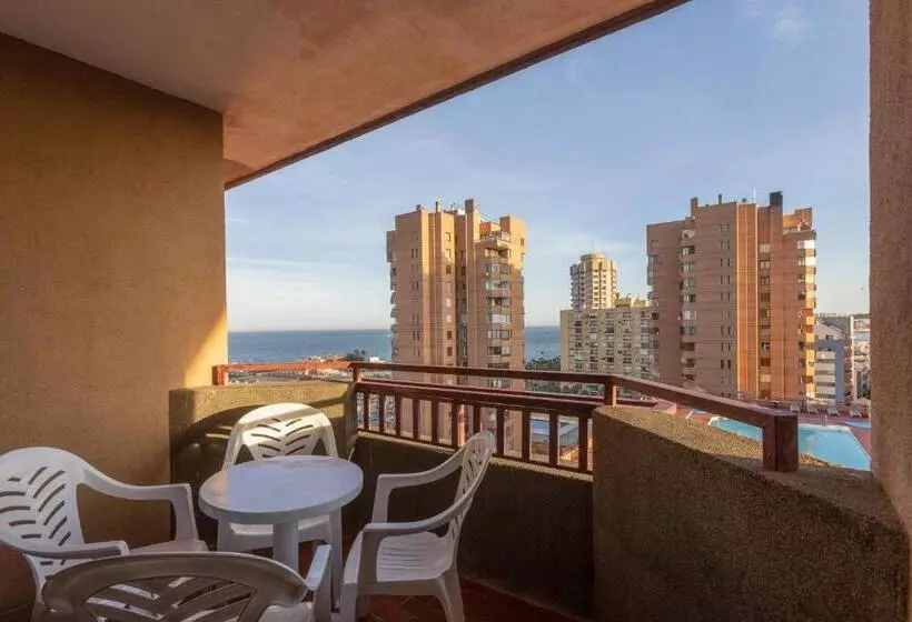 Fotos del hotel Las Palmeras Affiliated by Fergus:  47