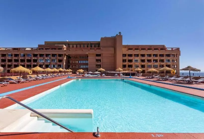 Fotos del hotel Las Palmeras Affiliated by Fergus:  27