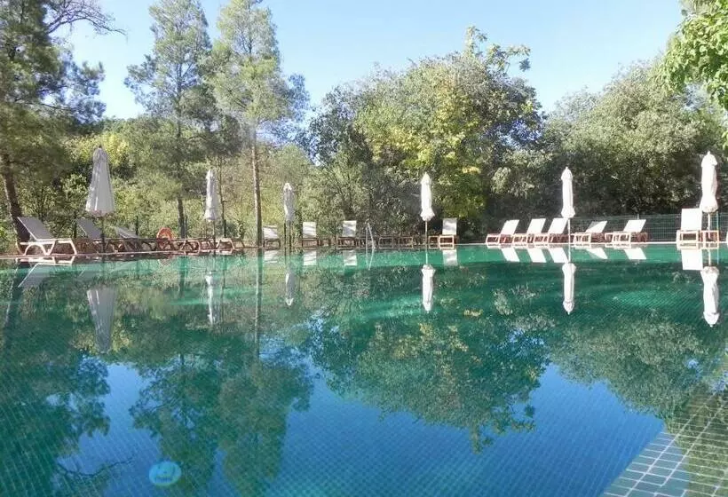 Fotos del hotel Monasterio De Piedra:  10